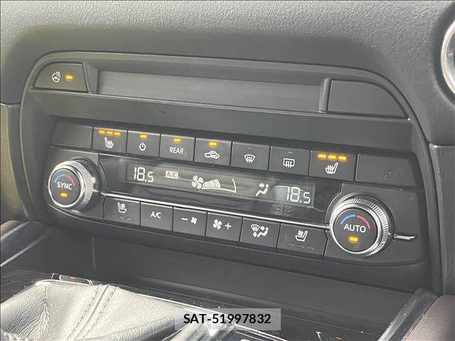 Mazda CX-8 2019-06 6671066-4