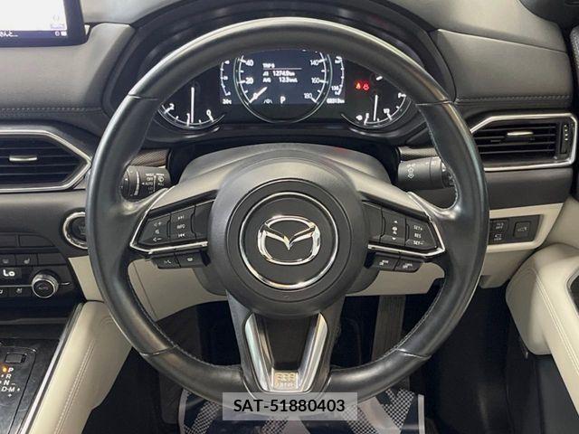 Mazda CX-8 2021-10 6675591-10