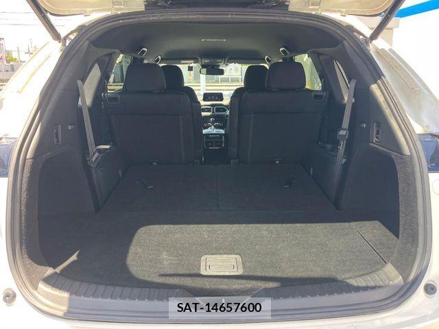 Mazda CX-8 2019-03 6675593-11