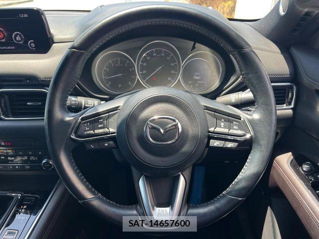 Mazda CX-8 2019-03 6675593-12