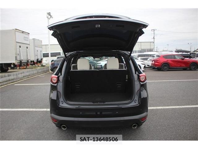 Mazda CX-8 2021-04 6675594-26