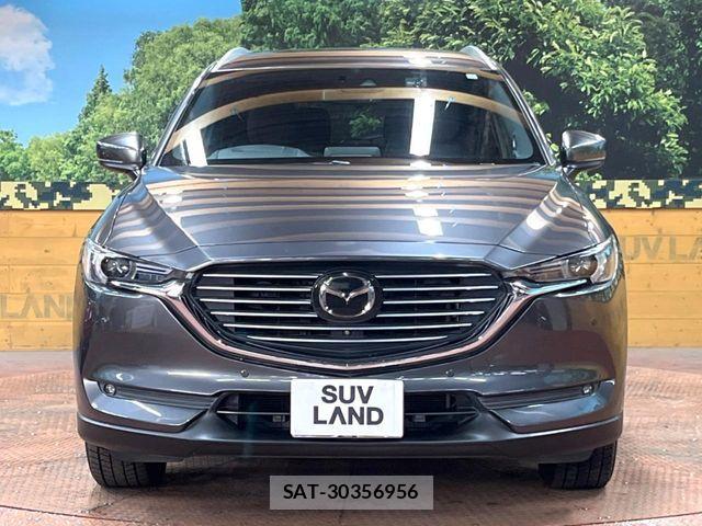 Mazda CX-8 2019-04 6814583-14