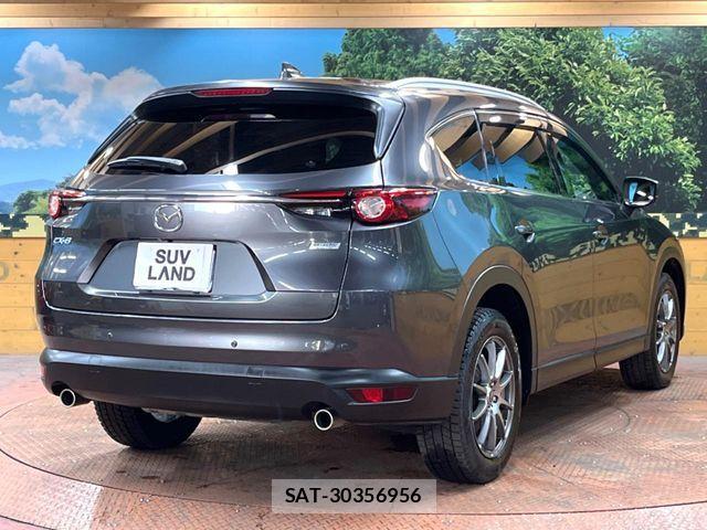 Mazda CX-8 2019-04 6814583-17