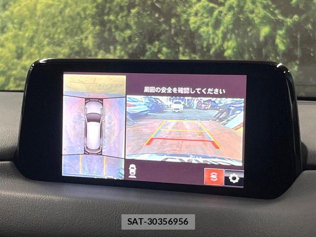 Mazda CX-8 2019-04 6814583-5