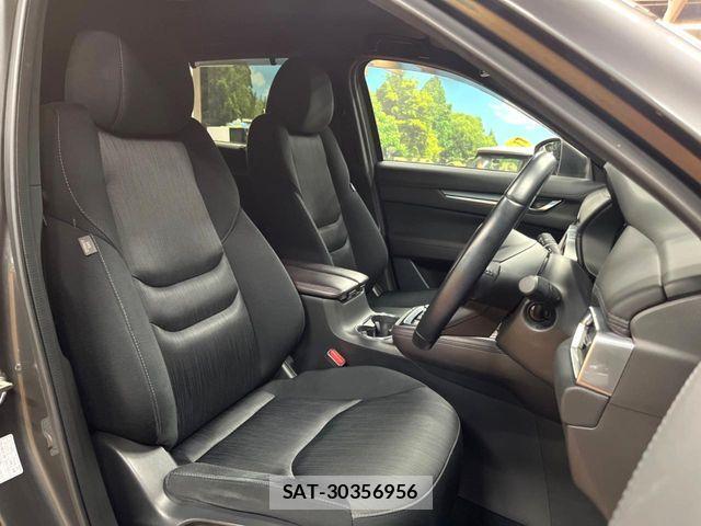 Mazda CX-8 2019-04 6814583-7