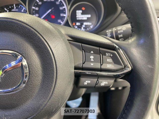 Mazda CX-8 2018-03 6814592-6