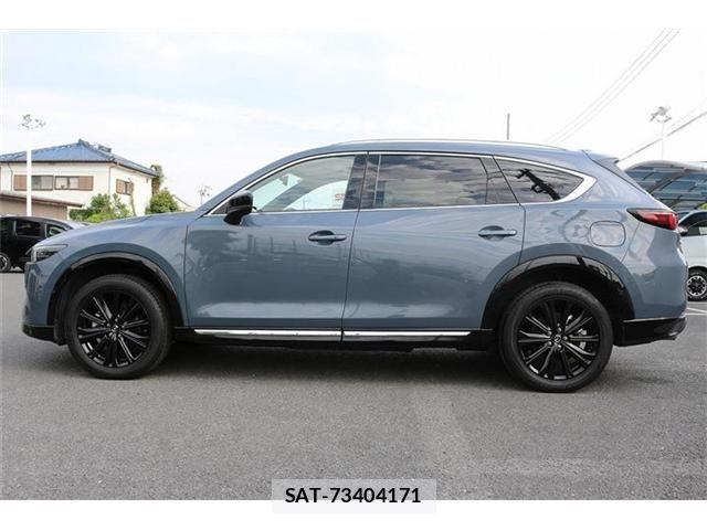 Mazda CX-8 2023-08 6903997-10