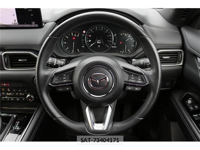 Mazda CX-8 2023-08 6903997-18