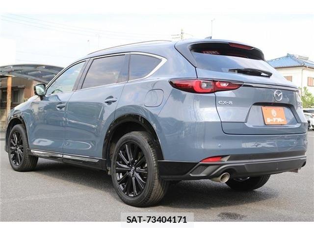 Mazda CX-8 2023-08 6903997-23