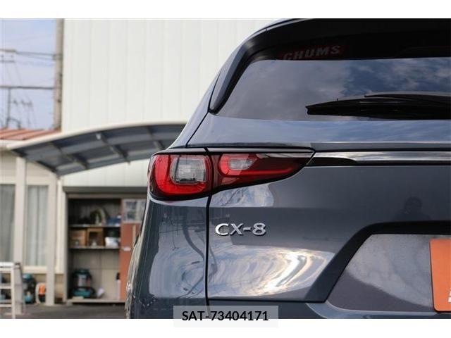 Mazda CX-8 2023-08 6903997-28