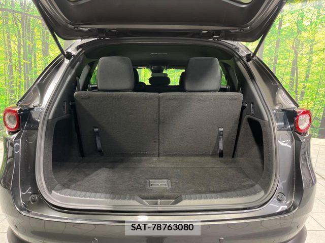 Mazda CX-8 2018-02 6904017-10