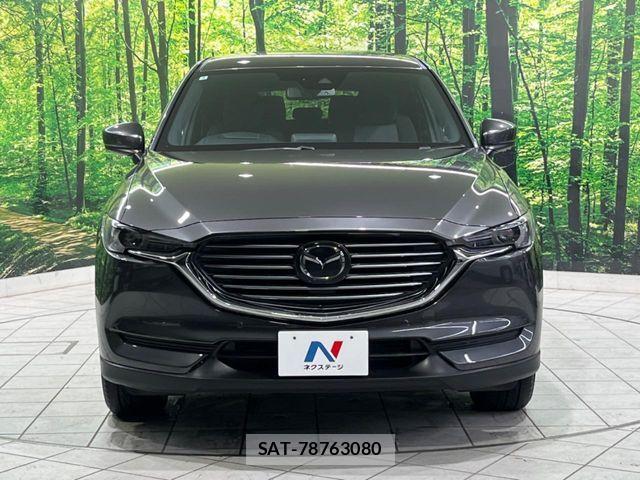Mazda CX-8 2018-02 6904017-14