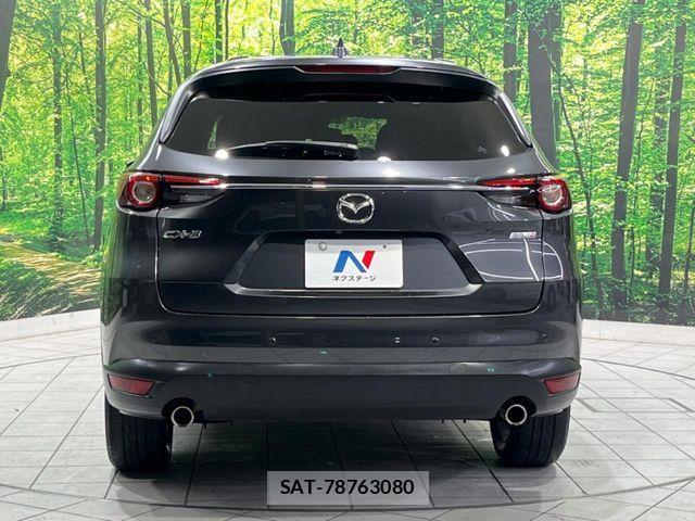 Mazda CX-8 2018-02 6904017-15