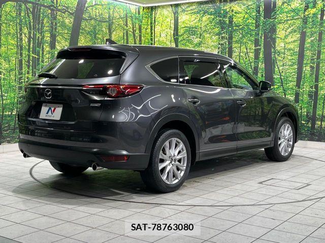 Mazda CX-8 2018-02 6904017-17