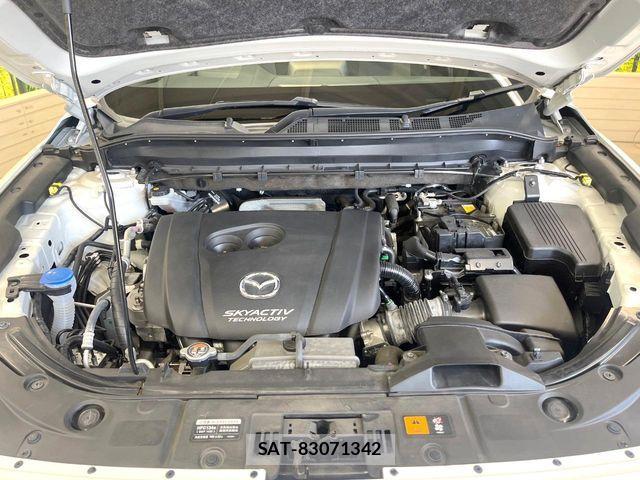 Mazda CX-8 2019-08 6904013-19