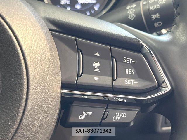 Mazda CX-8 2019-08 6904013-4