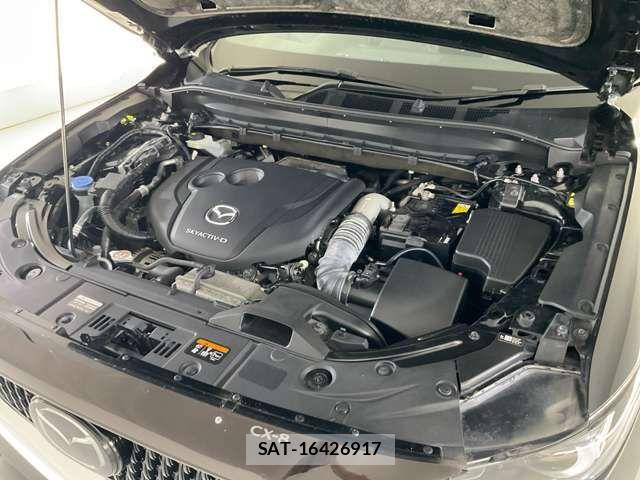 Mazda CX-8 2021-04 6904011-11