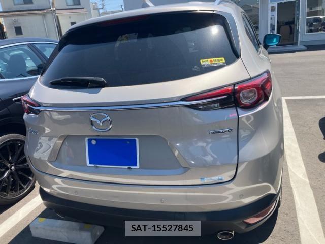 Mazda CX-8 2022-06 6904003-7