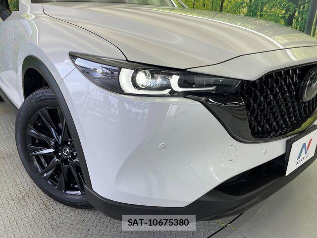 Mazda CX-8 2023-07 6903996-13