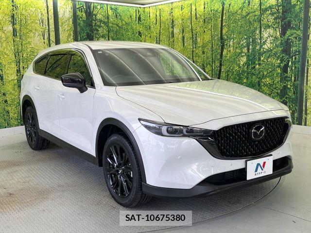 Mazda CX-8 2023-07 6903996-17