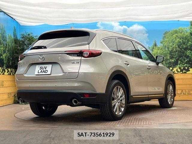 Mazda CX-8 2021-06 6903998-15