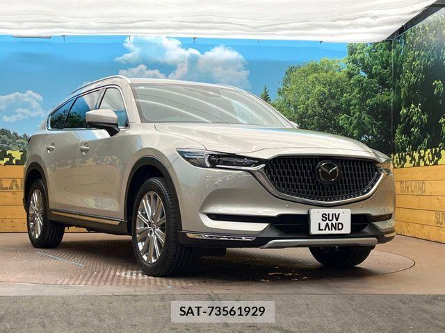 Mazda CX-8 2021-06 6903998-16
