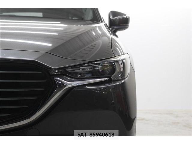 Mazda CX-8 2018-01 6904030-13
