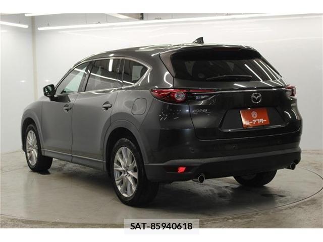 Mazda CX-8 2018-01 6904030-6