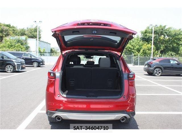 Mazda CX-8 2024-05 6992971-19