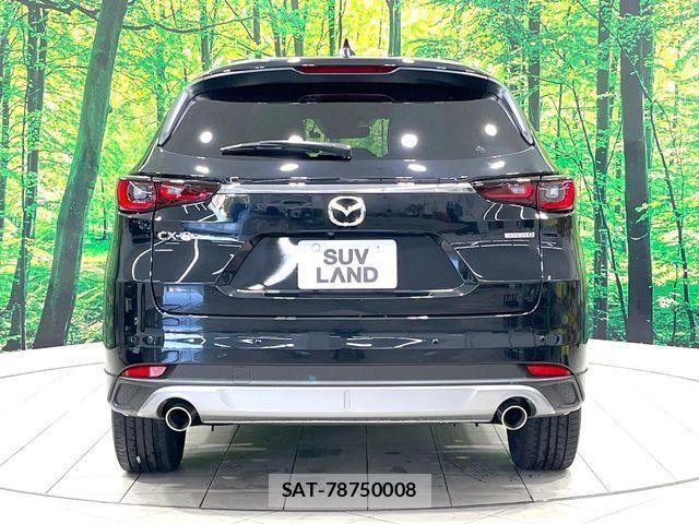 Mazda CX-8 2023-10 6992969-17