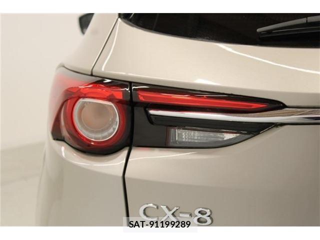 Mazda CX-8 2021-02 6992973-18