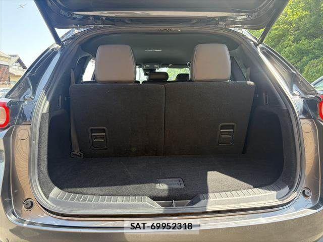 Mazda CX-8 2018-10 6992987-13
