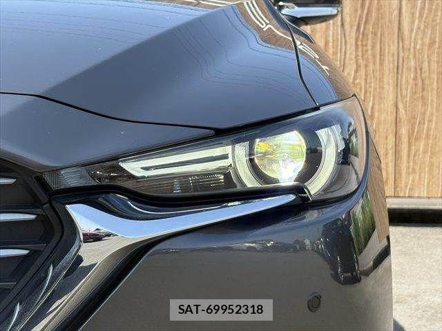 Mazda CX-8 2018-10 6992987-15