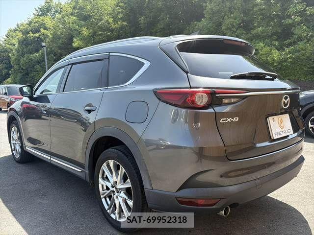Mazda CX-8 2018-10 6992987-23