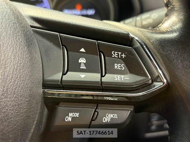 Mazda CX-8 2018-02 6992988-11