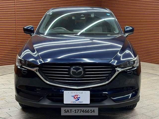 Mazda CX-8 2018-02 6992988-16