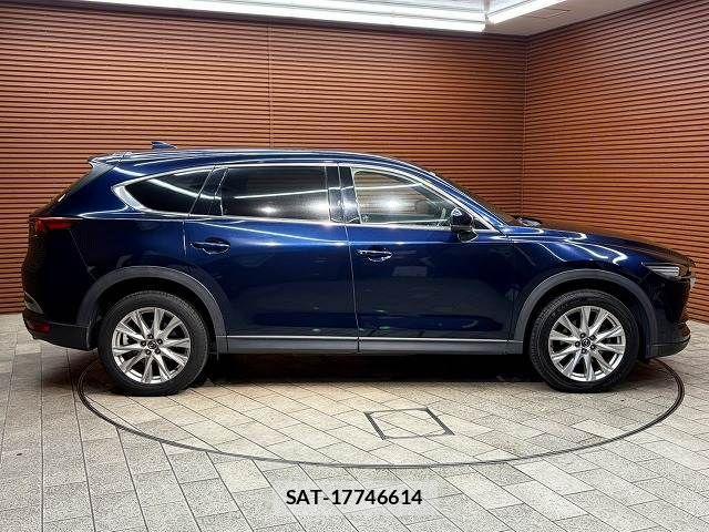 Mazda CX-8 2018-02 6992988-17