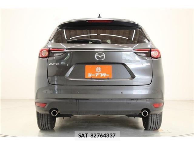 Mazda CX-8 2018-01 6992984-10