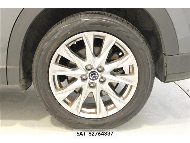 Mazda CX-8 2018-01 6992984-23
