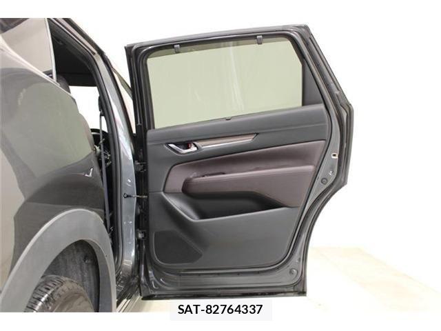 Mazda CX-8 2018-01 6992984-29