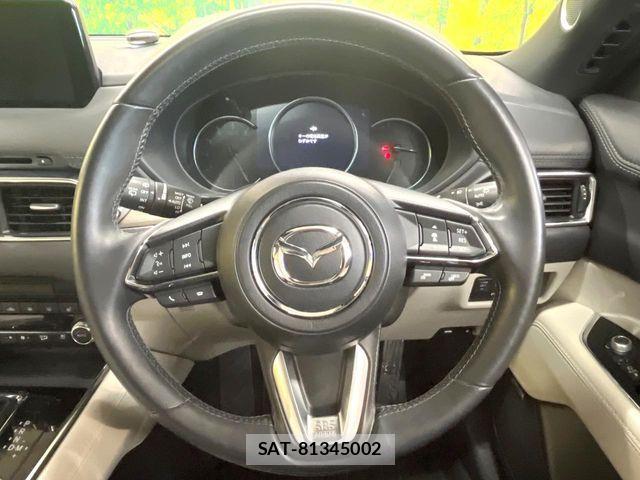 Mazda CX-8 2020-07 6992982-12