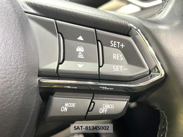 Mazda CX-8 2020-07 6992982-6