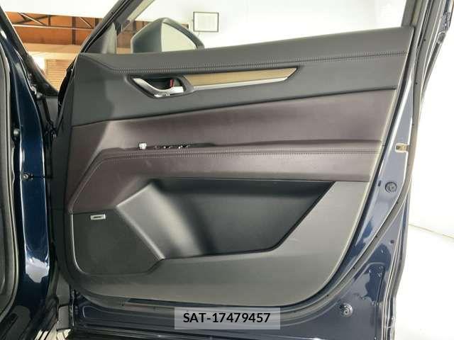 Mazda CX-8 2018-12 7020313-12