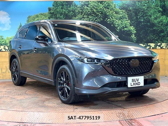 Mazda CX-8 2023-07 7020310-15