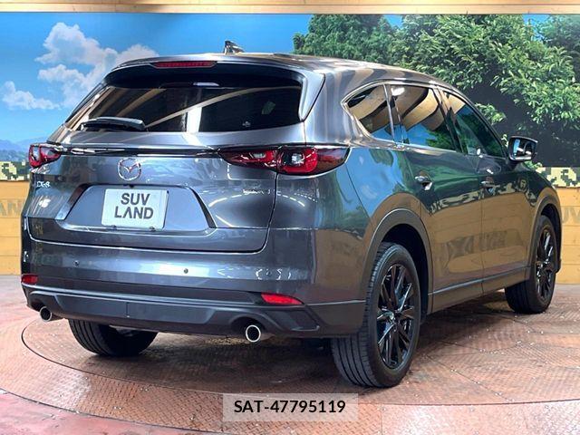 Mazda CX-8 2023-07 7020310-16