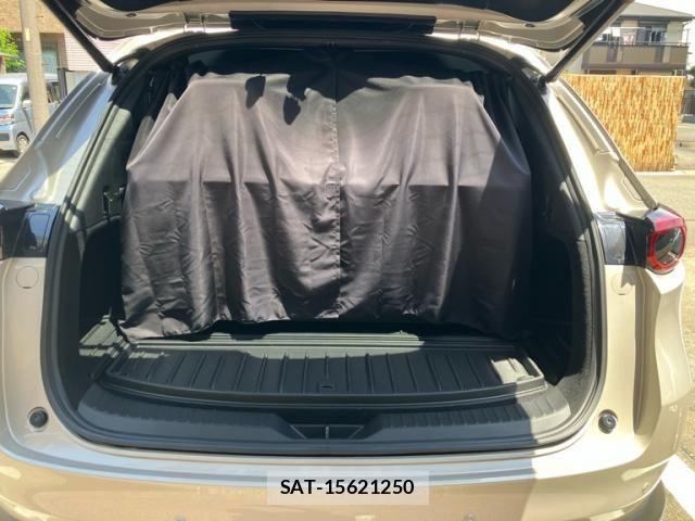 Mazda CX-8 2021-08 7217098-8