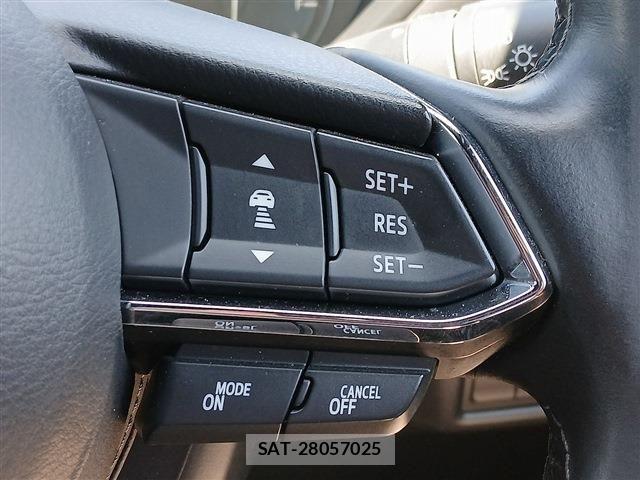 Mazda CX-8 2021-04 7217097-7