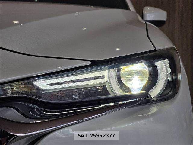 Mazda CX-8 2018-10 7217068-14