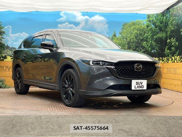 Mazda CX-8 2023-06 7217107-15