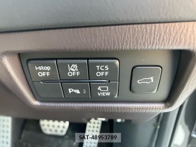 Mazda CX-8 2019-08 7217086-10